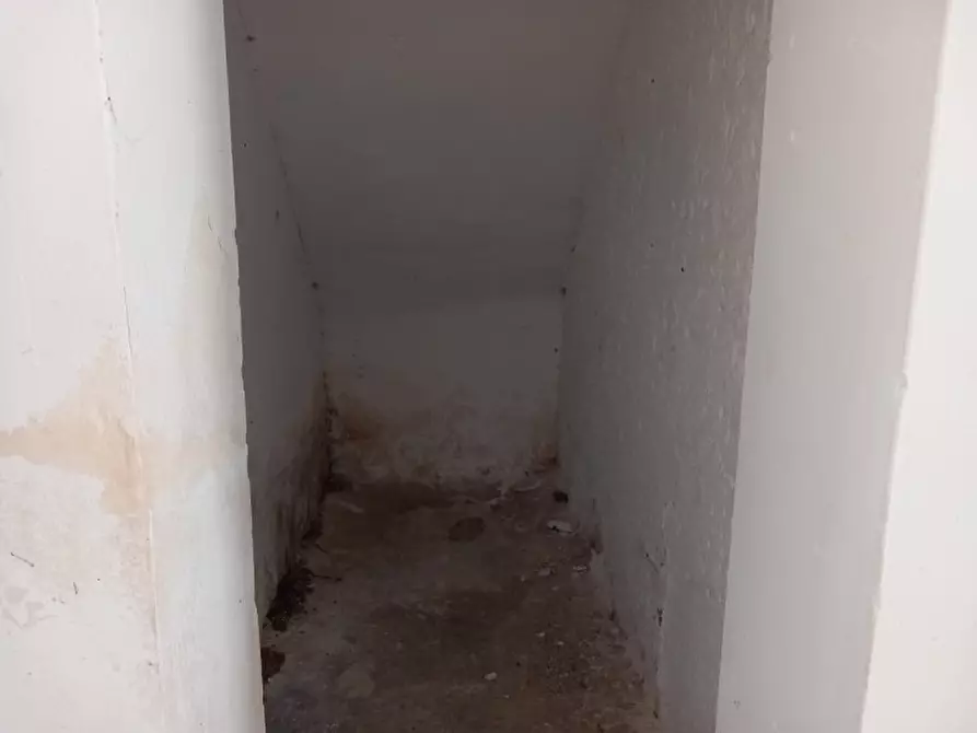 Immagine 60 di Rustico / casale in vendita  in C.da Malpasso a San Vito Dei Normanni