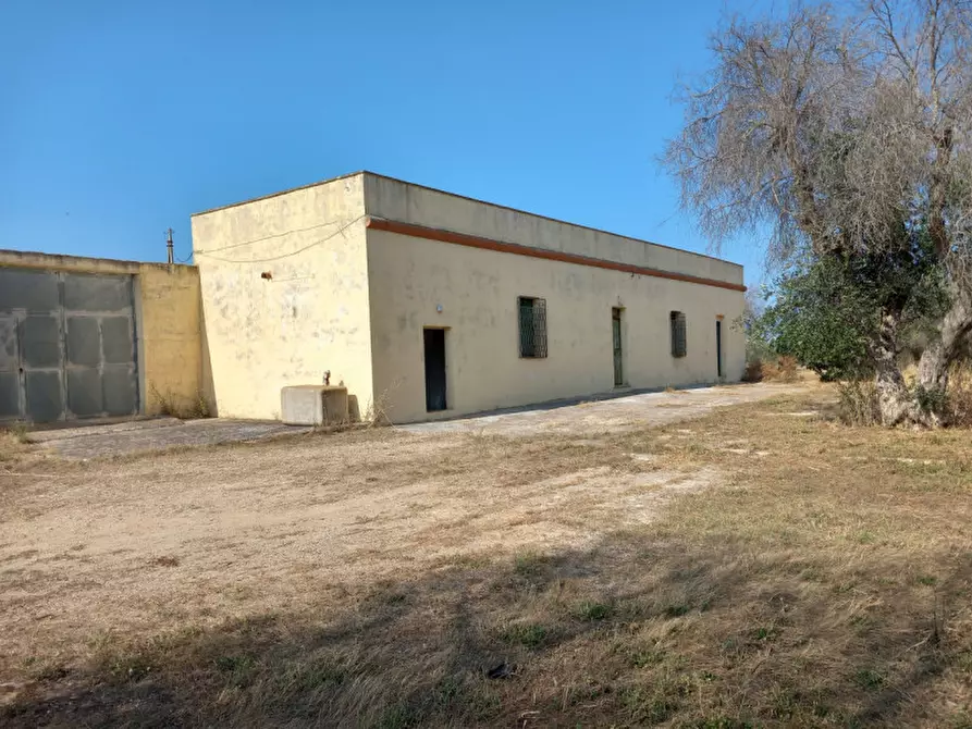 Immagine 63 di Rustico / casale in vendita  in C.da Malpasso a San Vito Dei Normanni