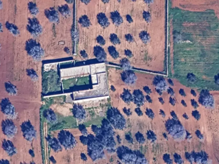 Immagine 67 di Rustico / casale in vendita  in C.da Malpasso a San Vito Dei Normanni