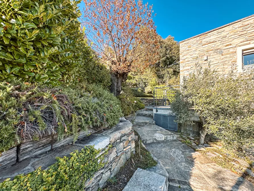 Immagine 46 di Villa in vendita  in via don minoli, 14 a Trarego Viggiona