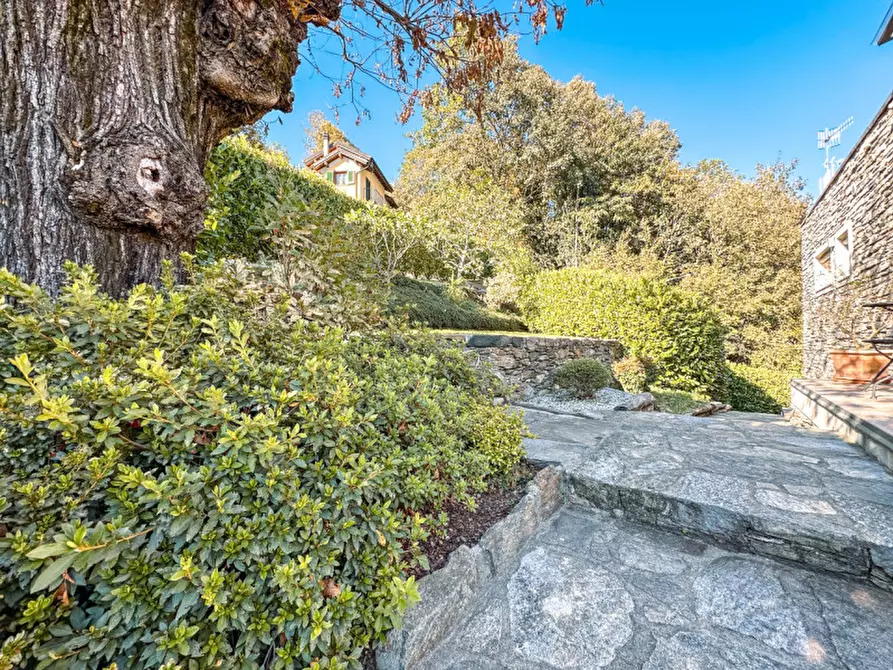 Immagine 48 di Villa in vendita  in via don minoli, 14 a Trarego Viggiona