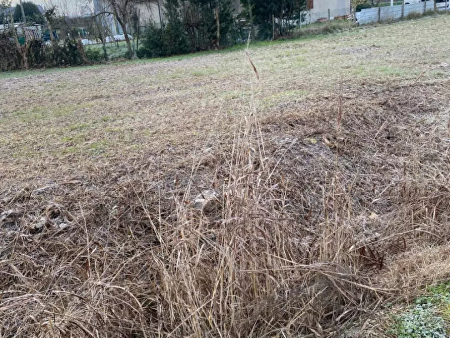 Immagine 11 di Terreno in vendita  in Brugine Via Fiumicello a Brugine