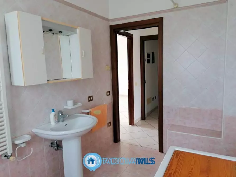 Immagine 22 di Casa bifamiliare in vendita  in Via Rosara a Codevigo