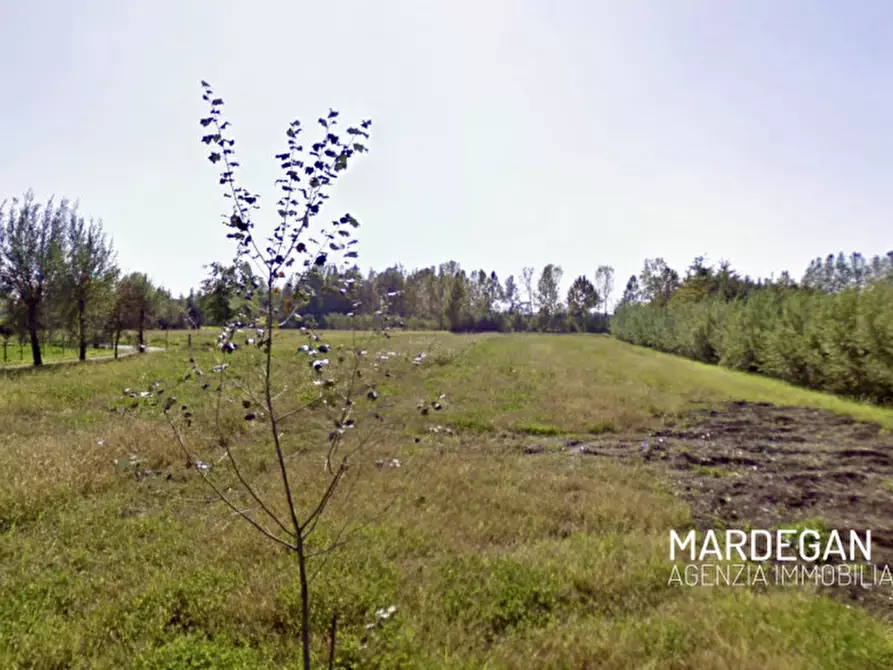 Immagine 1 di Terreno in vendita  in VIA LUIGI CADORNA a San Martino Di Lupari