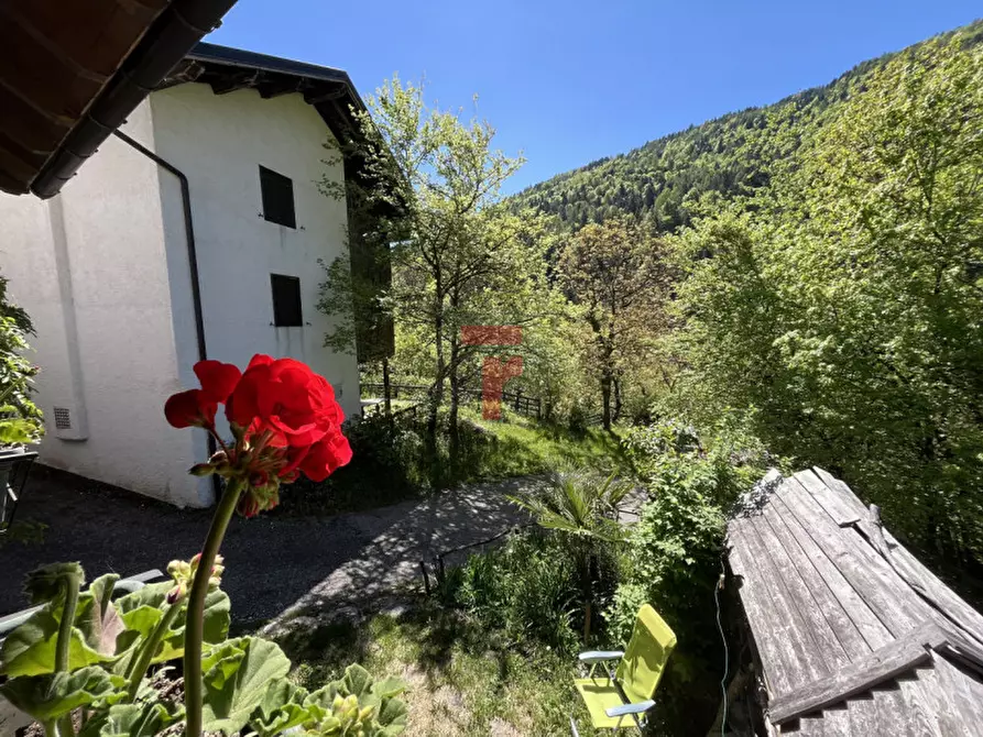 Immagine 25 di Casa bifamiliare in vendita  in Via Val a Lamon