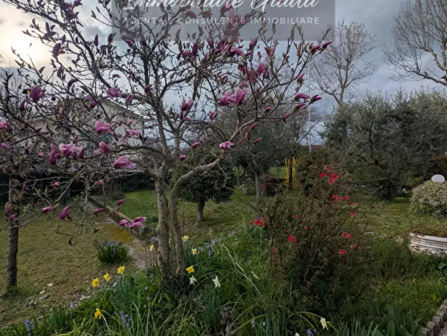 Immagine 9 di Villetta a schiera in vendita  a Orsago