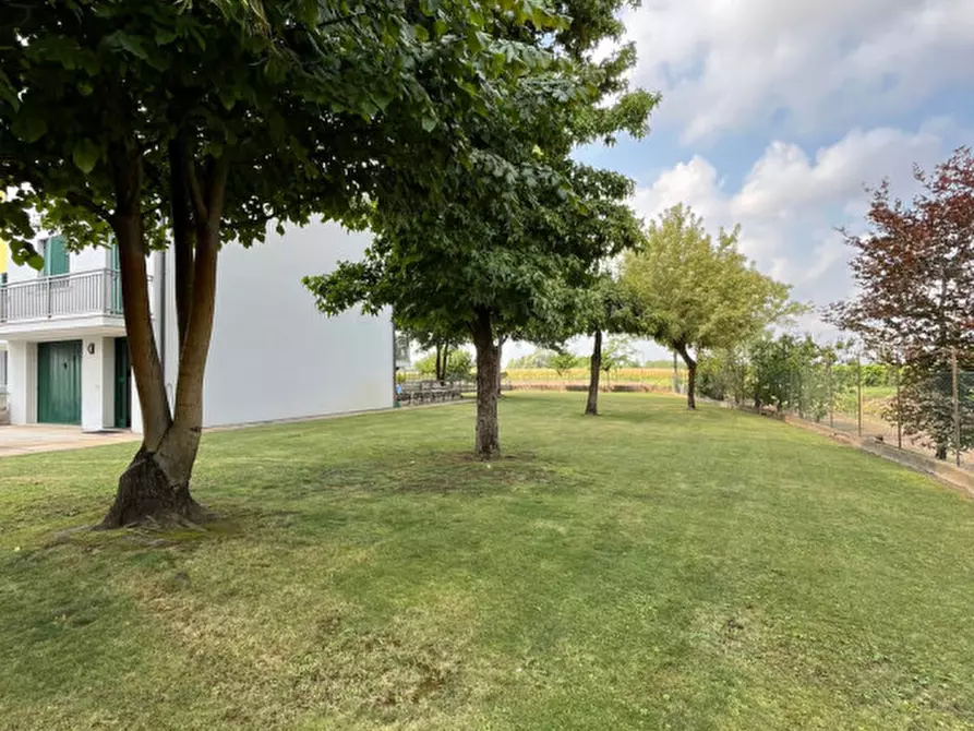 Immagine 3 di Villetta a schiera in vendita  in Via caduri di cefalonia a Montagnana