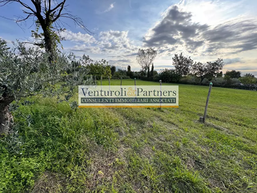 Immagine 2 di Terreno in vendita  in via vallette a San Felice Del Benaco