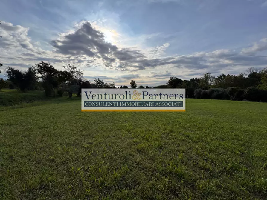 Immagine 3 di Terreno in vendita  in via vallette a San Felice Del Benaco