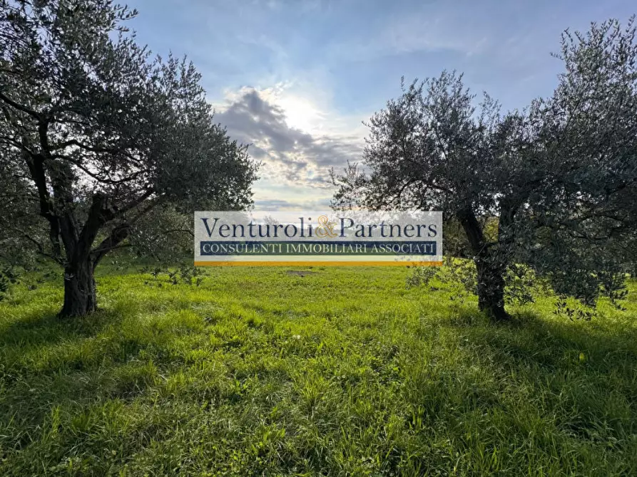 Immagine 5 di Terreno in vendita  in via vallette a San Felice Del Benaco