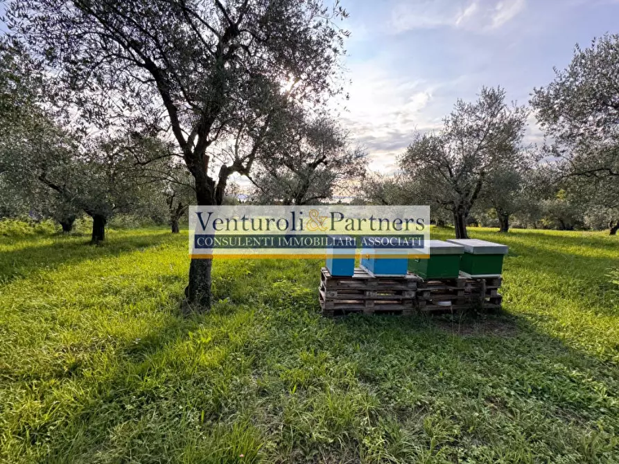 Immagine 6 di Terreno in vendita  in via vallette a San Felice Del Benaco