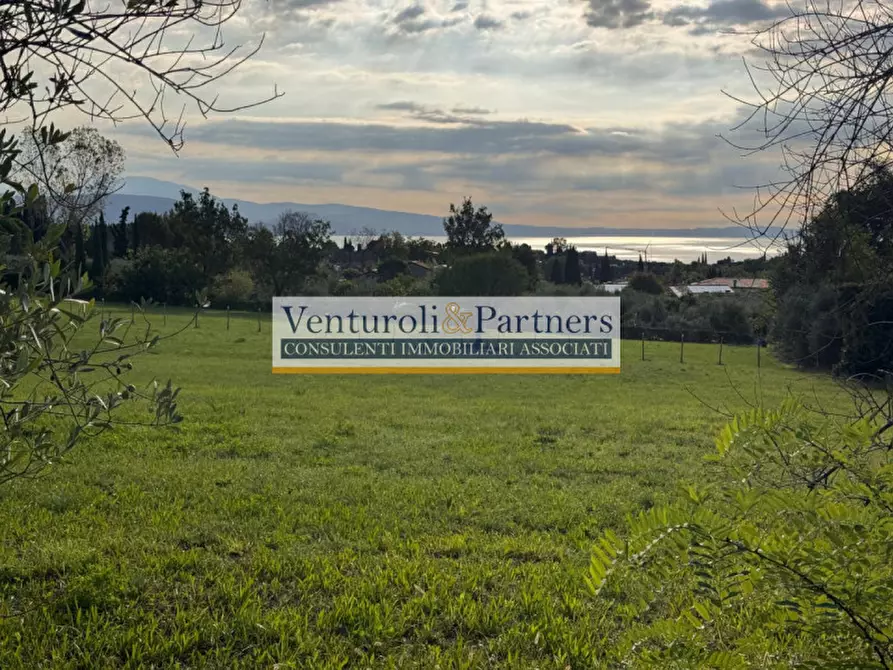 Immagine 7 di Terreno in vendita  in via vallette a San Felice Del Benaco