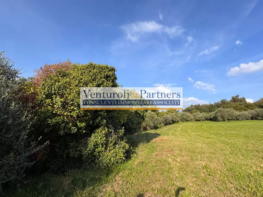 Immagine 8 di Terreno in vendita  in via vallette a San Felice Del Benaco