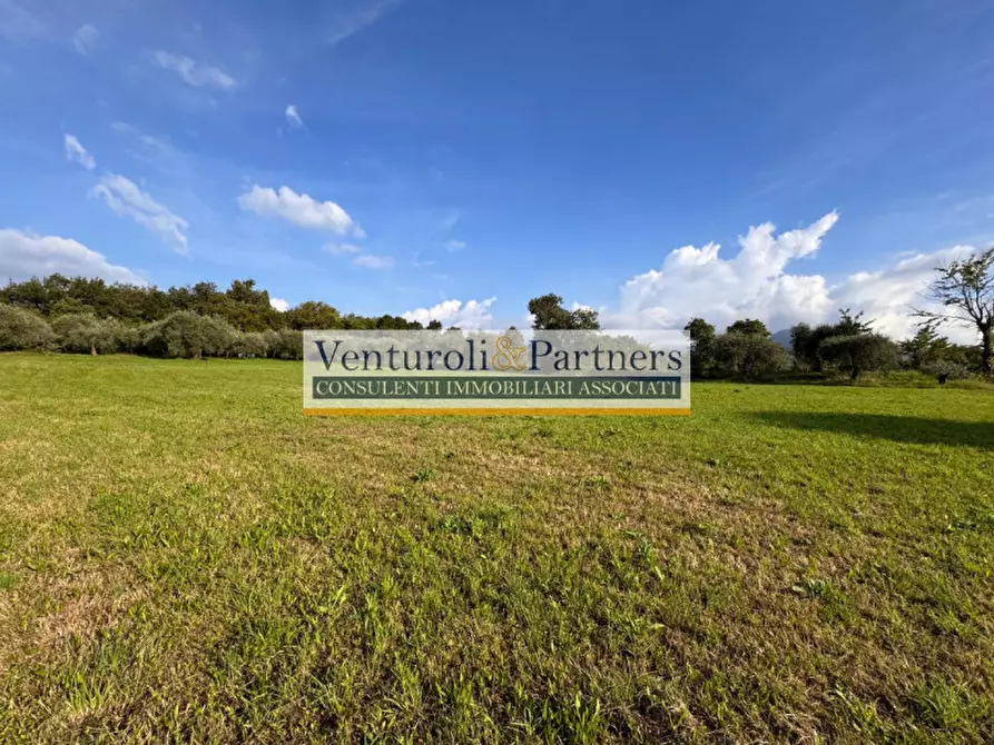 Immagine 9 di Terreno in vendita  in via vallette a San Felice Del Benaco