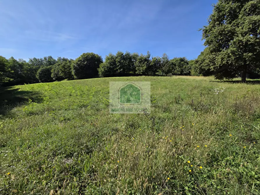 Immagine 2 di Capannone industriale in vendita  in giavera del montello a Giavera Del Montello