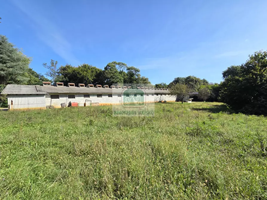 Immagine 3 di Capannone industriale in vendita  in giavera del montello a Giavera Del Montello