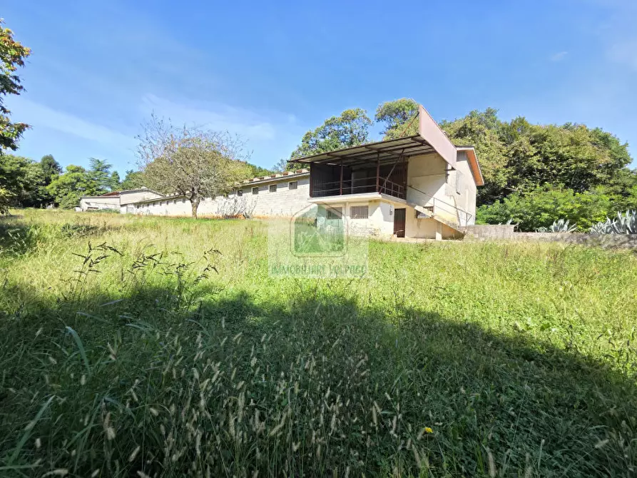 Immagine 4 di Capannone industriale in vendita  in giavera del montello a Giavera Del Montello