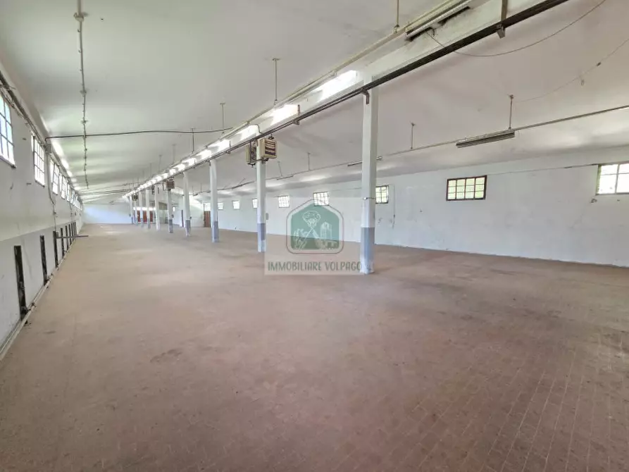 Immagine 6 di Capannone industriale in vendita  in giavera del montello a Giavera Del Montello