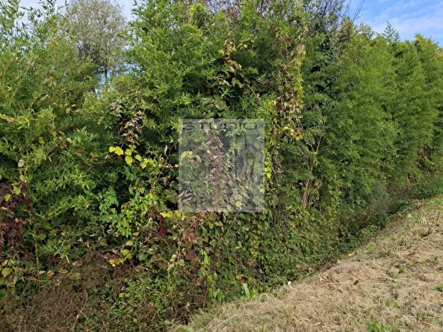 Immagine 2 di Rustico / casale in vendita  in via Caduti di Nassirya 61 a Loreggia