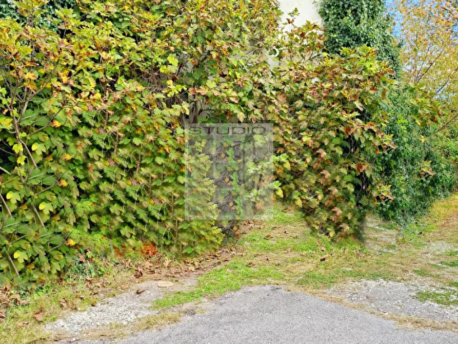 Immagine 3 di Rustico / casale in vendita  in via Caduti di Nassirya 61 a Loreggia