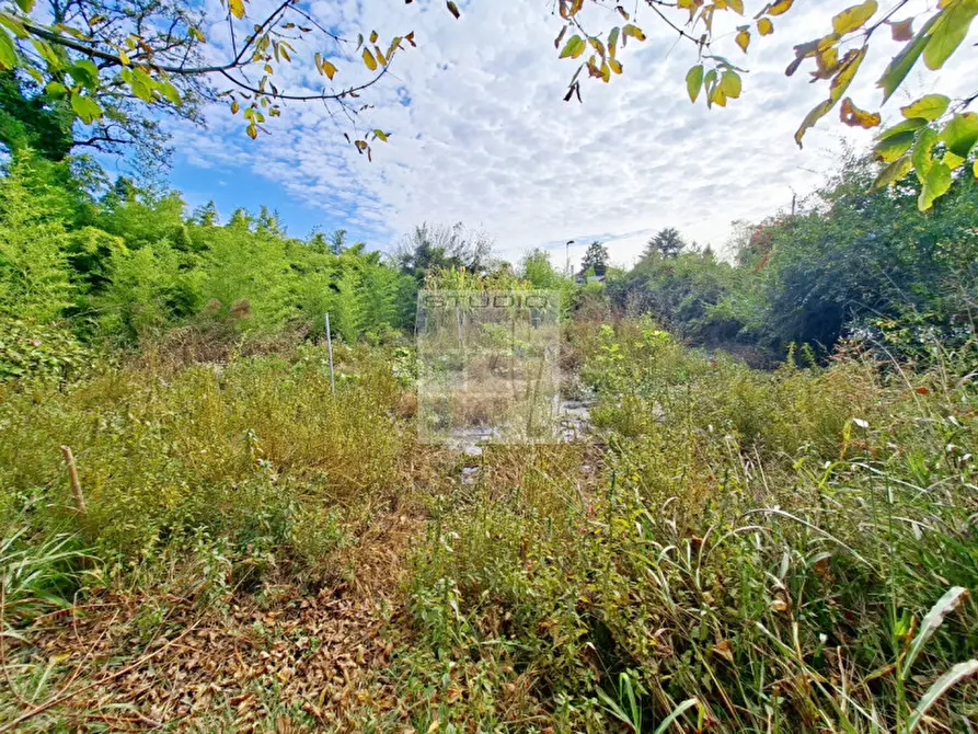 Immagine 4 di Rustico / casale in vendita  in via Caduti di Nassirya 61 a Loreggia