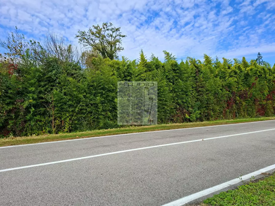 Immagine 8 di Rustico / casale in vendita  in via Caduti di Nassirya 61 a Loreggia