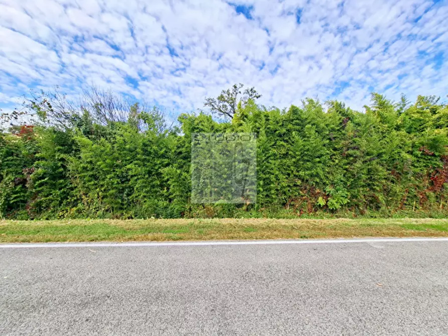 Immagine 15 di Rustico / casale in vendita  in via Caduti di Nassirya 61 a Loreggia