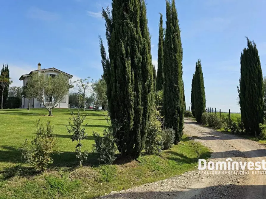 Immagine 25 di Villa in affitto  in Strada Poggio Cavallucciaro a Montalto Di Castro