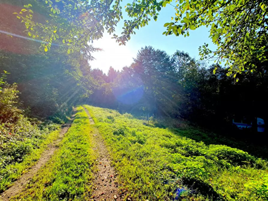 Immagine 5 di Rustico / casale in vendita  in Frazione Saone a Tione Di Trento