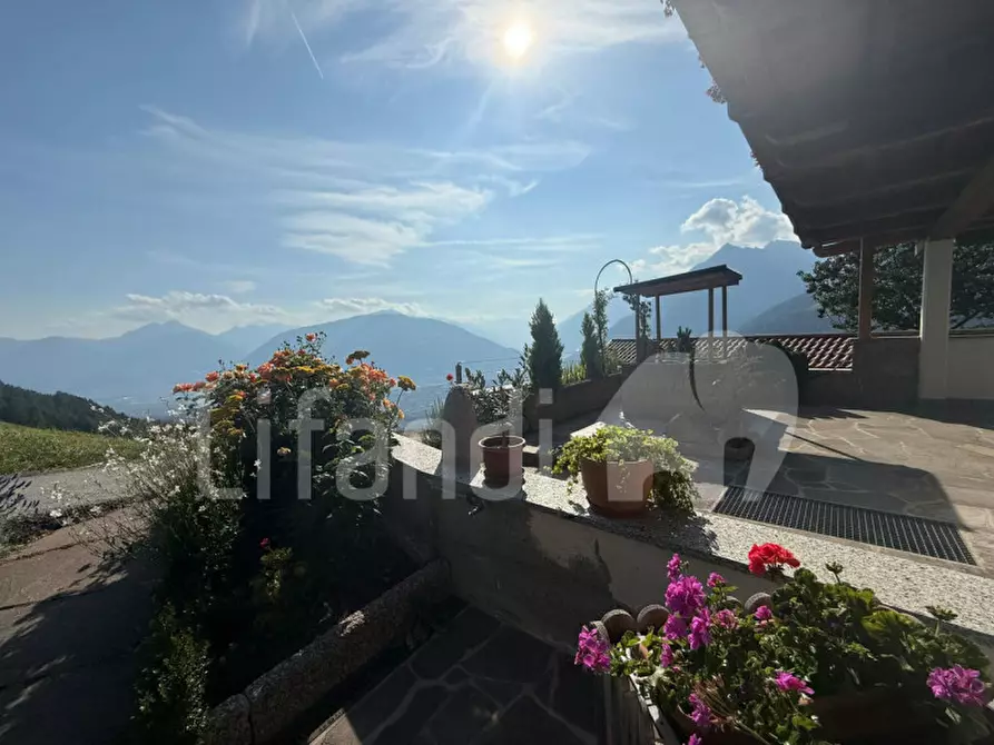 Immagine 2 di Appartamento in vendita  in Schennaberg - Montescena a Scena .Schonna.