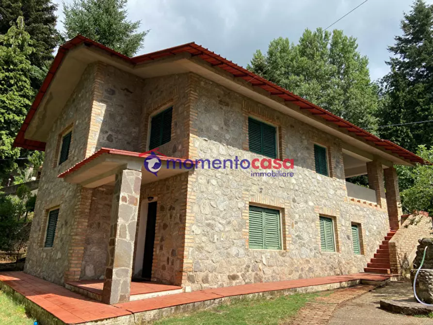 Immagine 2 di Villa in vendita  in Strada Statale 184 delle Mannoli a Santo Stefano In Aspromonte