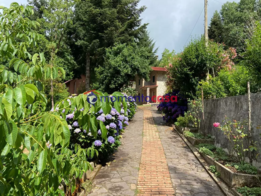 Immagine 6 di Villa in vendita  in Strada Statale 184 delle Mannoli a Santo Stefano In Aspromonte