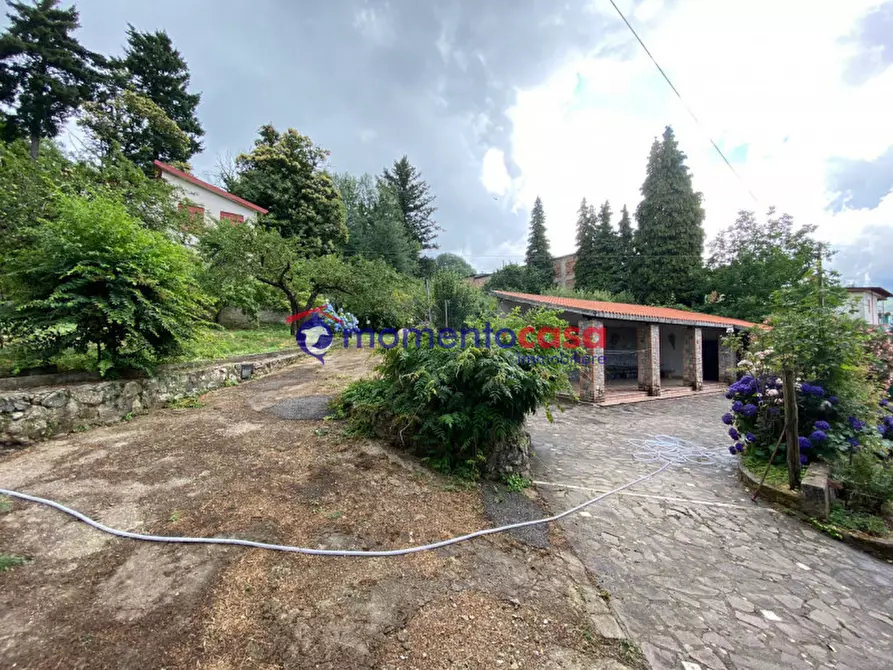 Immagine 8 di Villa in vendita  in Strada Statale 184 delle Mannoli a Santo Stefano In Aspromonte