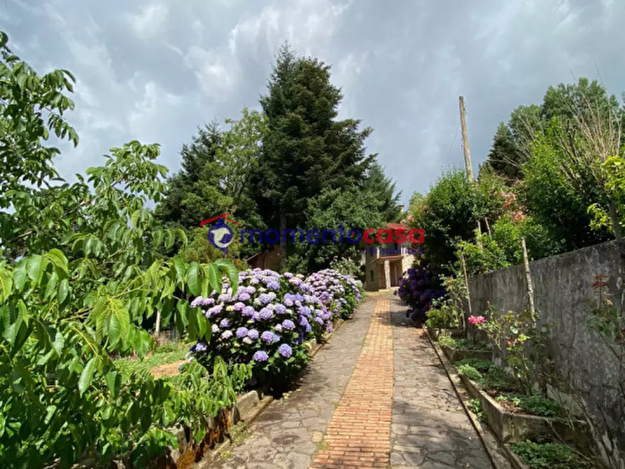 Immagine 9 di Villa in vendita  in Strada Statale 184 delle Mannoli a Santo Stefano In Aspromonte