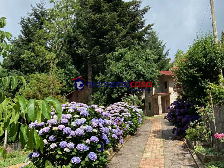 Immagine 10 di Villa in vendita  in Strada Statale 184 delle Mannoli a Santo Stefano In Aspromonte