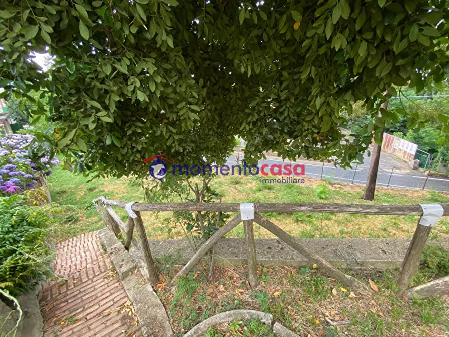 Immagine 11 di Villa in vendita  in Strada Statale 184 delle Mannoli a Santo Stefano In Aspromonte