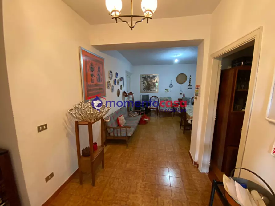 Immagine 15 di Villa in vendita  in Strada Statale 184 delle Mannoli a Santo Stefano In Aspromonte