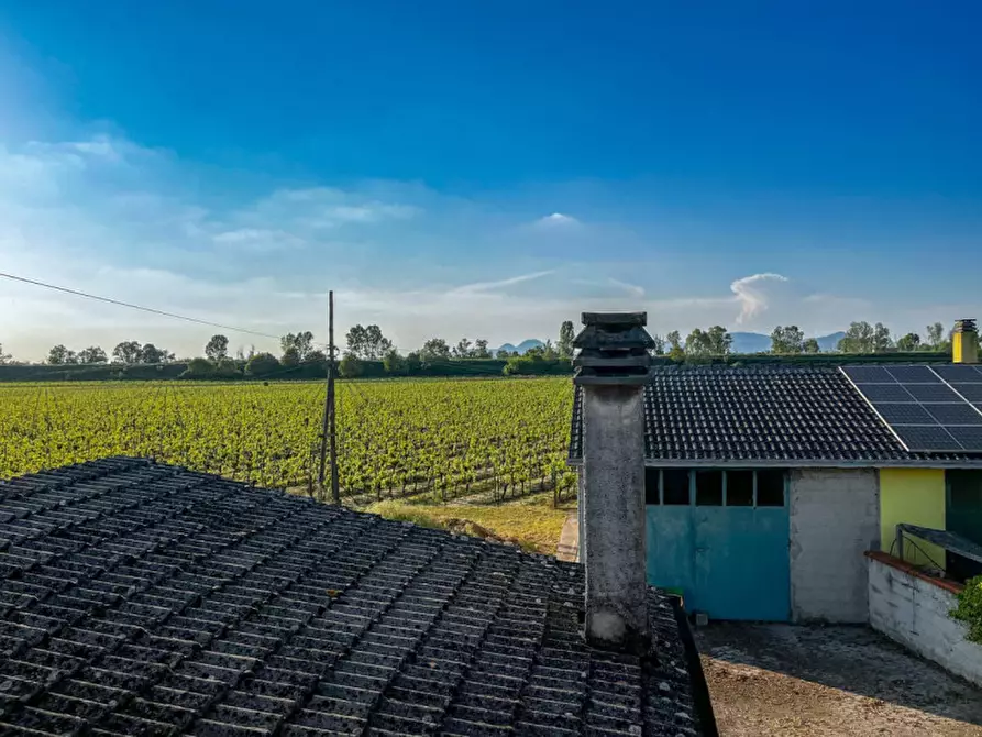 Immagine 19 di Casa indipendente in vendita  in Via Canaletta Superiore a Stanghella