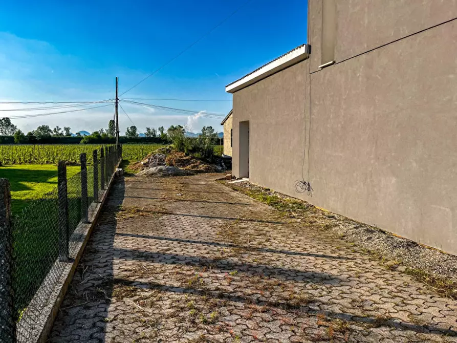 Immagine 28 di Casa indipendente in vendita  in Via Canaletta Superiore a Stanghella