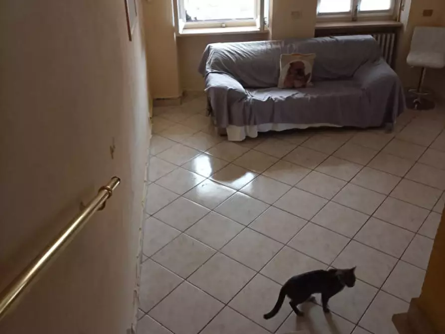 Immagine 7 di Villa in vendita  in Via Giorcelli 4 a Pontestura