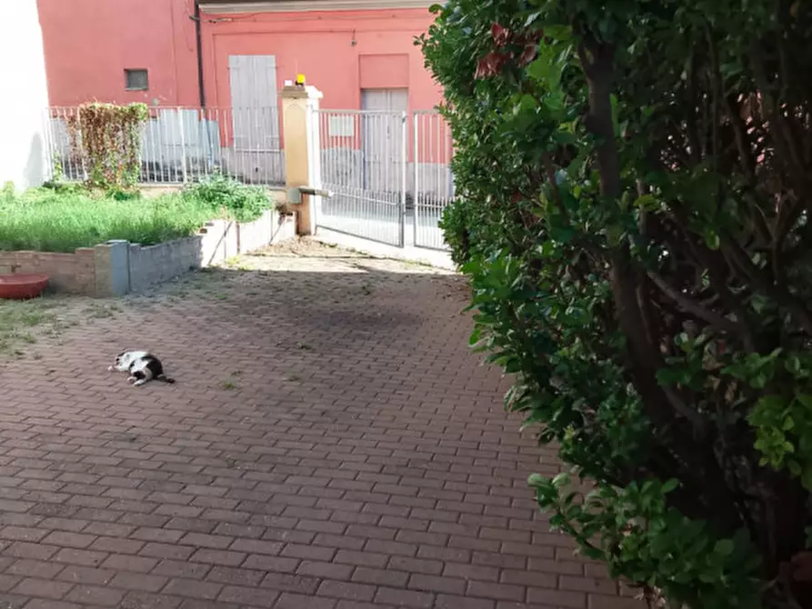 Immagine 15 di Villa in vendita  in Via Giorcelli 4 a Pontestura