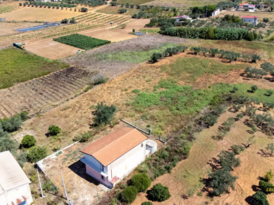 Immagine 5 di Casa indipendente in vendita  in contrada bosco falconeria a Partinico
