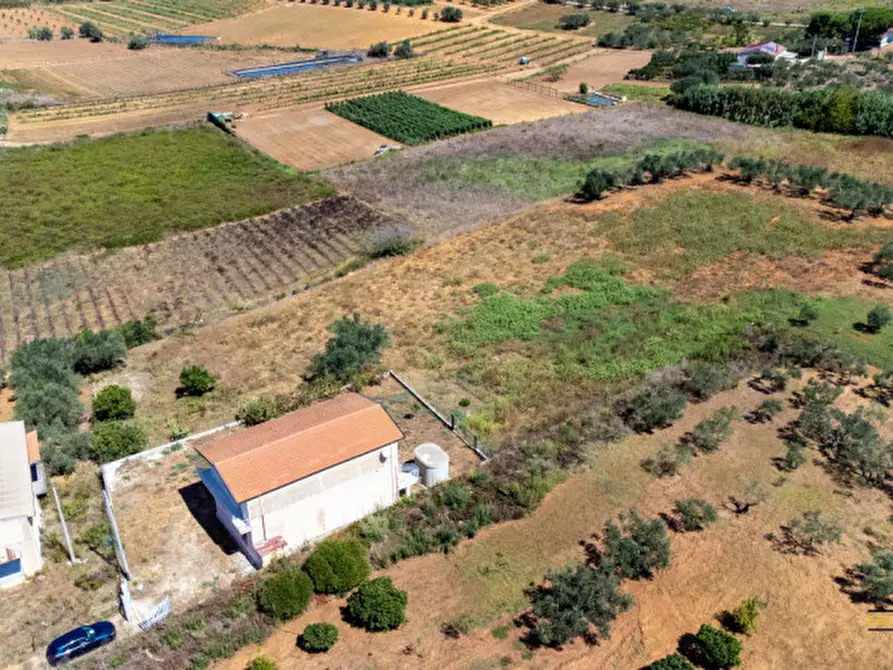Immagine 7 di Casa indipendente in vendita  in contrada bosco falconeria a Partinico