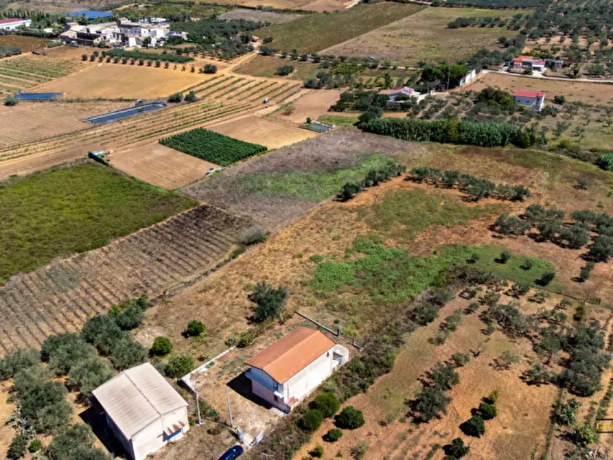 Immagine 8 di Casa indipendente in vendita  in contrada bosco falconeria a Partinico