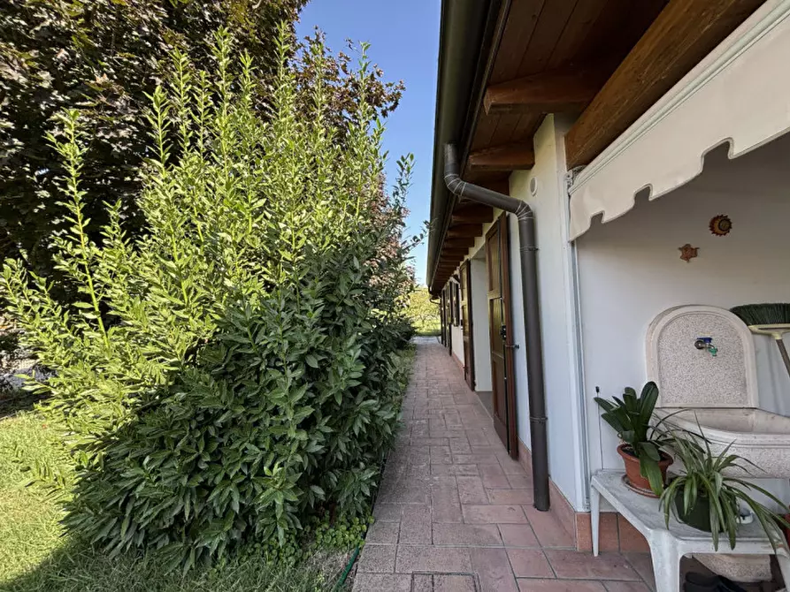 Immagine 3 di Casa indipendente in vendita  in Via Vedole, 30 a Colorno