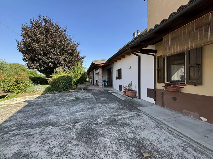 Immagine 40 di Casa indipendente in vendita  in Via Vedole, 30 a Colorno