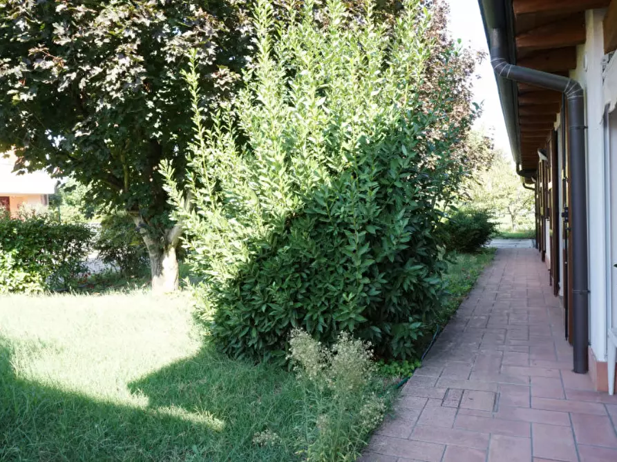 Immagine 47 di Casa indipendente in vendita  in Via Vedole, 30 a Colorno