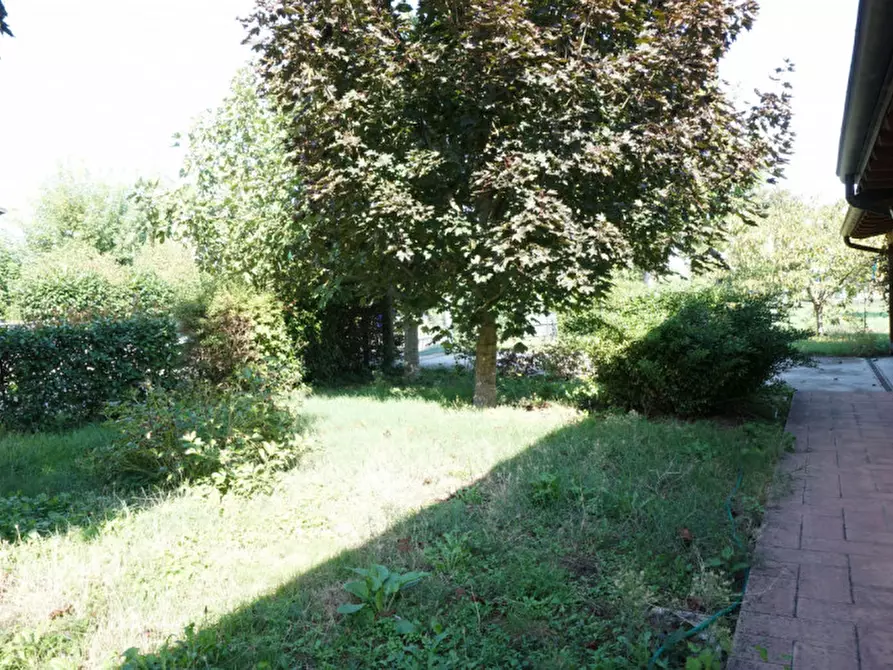 Immagine 48 di Casa indipendente in vendita  in Via Vedole, 30 a Colorno