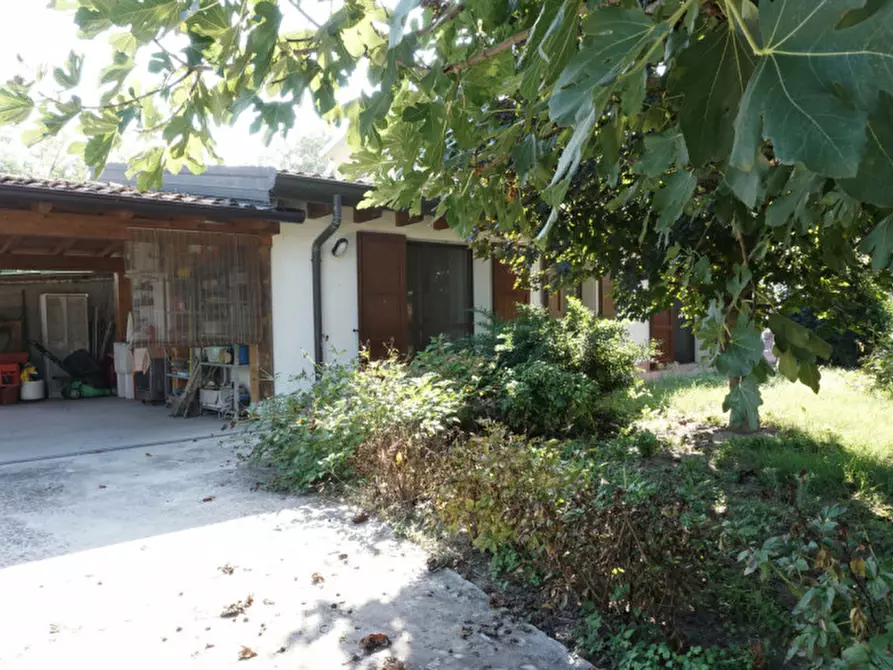 Immagine 49 di Casa indipendente in vendita  in Via Vedole, 30 a Colorno