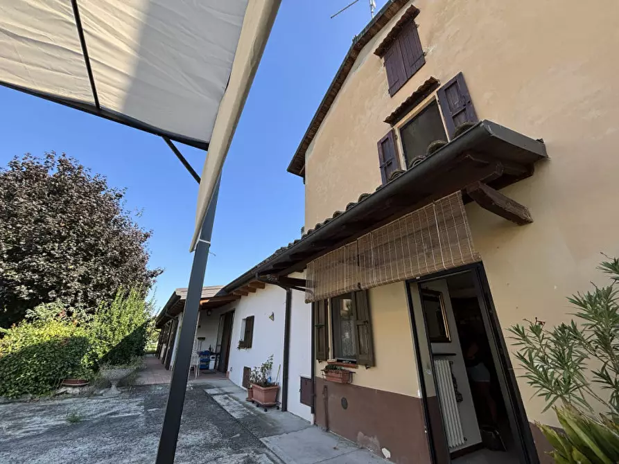 Immagine 60 di Casa indipendente in vendita  in Via Vedole, 30 a Colorno